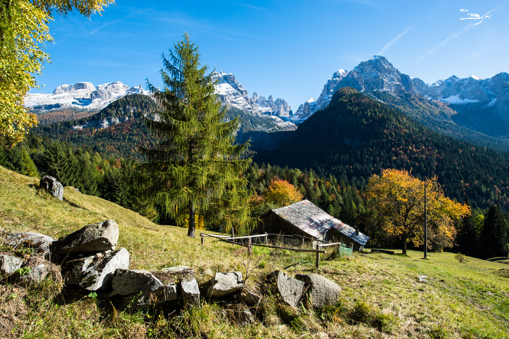 background titolo offers B&b Arnica